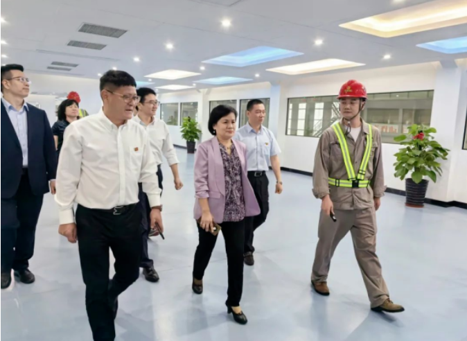 陈洁英到盛隆足球中国-官网开展工作调研
